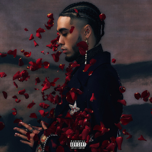 茶茶红润脚底lvk
